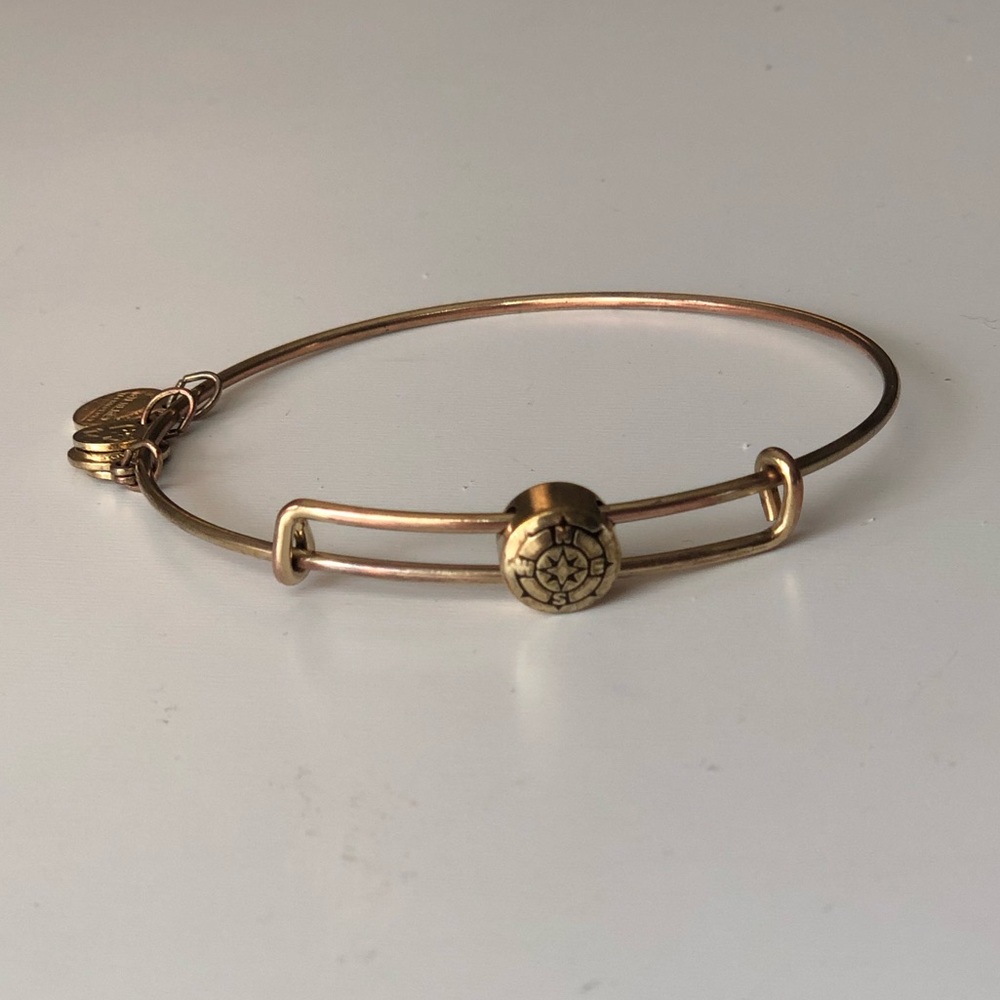 Alex and Ani Charm Bracelet